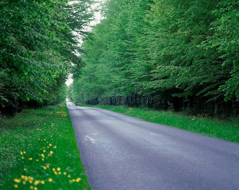 Kishoreganj Info